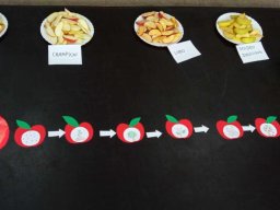 4619874759993133786632776746687677594332938n